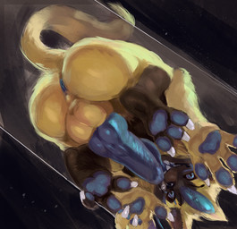 3_toes 4_fingers against_surface anthro anus ass_on_glass auto_penis_lick autofellatio balls big_penis blue_anus blue_eyes blue_pawpads blue_penis bodily_fluids butt claws feet feral fingers fur genital_fluids genitals glass knot knotted_penis licking looking_at_viewer low-angle_view male masturbation nude on_glass on_surface open_mouth oral oral_masturbation pawpads penile penile_masturbation penis penis_on_glass perineum precum self_lick solo teeth toe_claws toes tongue tongue_out yellow_balls yellow_body yellow_fur yellow_perineum killioma nintendo pokemon felid generation_7_pokemon legendary_pokemon mammal pokemon_(species) zeraora 2019