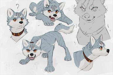 angry black_nose brown_collar cheek_tuft claws collar collar_only eyebrows facial_tuft fangs feral fur grey_body grey_fur head_scar looking_at_viewer looking_away lying male markings multiple_poses nude open_mouth orange_eyes pink_tongue pose question_mark scar simple_background solo standing striped_body striped_fur striped_markings stripes tail teeth tongue tuft white_body white_claws white_eyebrows white_fur azzai ginga_(series) gin_(ginga) akita akita_inu canid canine canis domestic_dog mammal spitz 3:2 colored colored_sketch digital_drawing_(artwork) digital_media_(artwork) sketch sketch_page