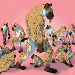anthro belly caricature dark_ears dark_feet dark_hands dark_penis feet flaccid fur genitals grabbing group humanoid_feet male markings muscular muscular_male penis penis_grab pink_tongue plantigrade playing primitive short_tail simple_background sitting small_eyes spots spotted_body spotted_fur tail tongue tongue_out walking white_belly ravuer hyena mammal 1:1 hi_res