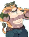 anthro barazoku beard big_muscles big_pecs bulge clothed clothing facial_hair green_hair hair looking_at_viewer male muscular muscular_anthro muscular_male nipples pecs simple_background solo topless white_background ayame42612 lifewonders tokyo_afterschool_summoners arsalan_(tas) felid lion mammal pantherine