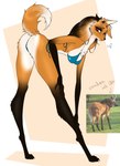 anthro bent_over bikini biped black_body black_fur black_hair blue_clothing blue_swimwear breasts butt clothing dipstick_tail ear_piercing eyelashes female fur hair markings multicolored_body multicolored_fur multicolored_hair orange_body orange_fur orange_hair piercing pupils red_eyes side-tie_bikini solo string_bikini swimwear tail tail_markings thick_thighs two-piece_swimsuit white_body white_fur almankanine canid canine mammal maned_wolf hi_res