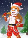 abs anthro christmas_clothing christmas_headwear clothed clothing hat headgear headwear holidays male muscular muscular_anthro muscular_male muscular_young pecs santa_hat snow solo topless young young_anthro sharparadise christmas sharparadise_(character) canid canine fox mammal 3:4 hi_res