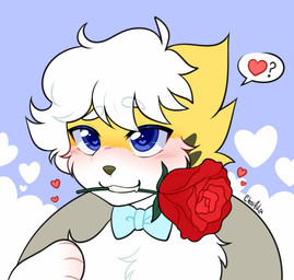 anthro blue_eyes blush bow_tie flirting flower flower_in_mouth fur hair heart_symbol holidays love male plant rose_(flower) rose_in_mouth smile solo white_hair wings choiaila nintendo pokemon valentine's_day floatzel generation_4_pokemon pokemon_(species) hi_res