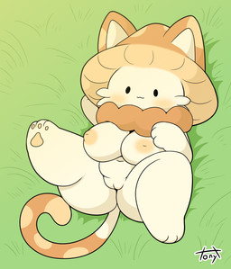 :3 anthro areola big_breasts big_butt blush breasts brown_ears brown_tail butt butt_from_the_front dot_eyes facial_tuft female female_anthro fungus fur genitals grass_field hand_behind_head inverted_nipples long_tail looking_at_viewer lying multicolored_ears multicolored_tail mushroom_cap navel neck_tuft nipples nude nude_anthro nude_female on_back one_leg_up pawpads paws pose raised_leg shortstack shortstack_female simple_eyes slightly_chubby slightly_chubby_anthro slightly_chubby_female solo tail tan_areola tan_ears tan_nipples tan_tail text thick_thighs tuft two_tone_ears vulva white_body white_fur white_inner_ear white_tail tonytoran elemental_creature felid feline fungi_fauna hybrid mammal 2024 absurd_res artist_name colored digital_drawing_(artwork) digital_media_(artwork) full-length_portrait hi_res portrait signature