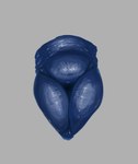 animal_genitalia animal_pussy blue_body blue_skin canine_genitalia canine_pussy disembodied_pussy female genitals glistening glistening_genitalia pussy spoofii