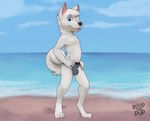 anthro beach black_clothing black_nose black_underwear blue_clothing blue_eyes blue_thong blue_underwear bulge clothed clothing cloud detailed_bulge footprint front_view fur hair hand_on_hip looking_at_viewer male multicolored_clothing multicolored_underwear one_eye_closed outside pawprint sand sea seaside sky solo standing tail thong tongue tongue_out two_tone_clothing two_tone_underwear underwear underwear_only water white_body white_ears white_fur white_hair white_tail wink young young_anthro young_male boopthepup milo_(boopthepup) canid canine canis domestic_dog mammal nordic_sled_dog samoyed spitz 2021 absurd_res digital_media_(artwork) hi_res