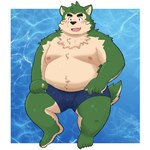 anthro belly big_belly black_nose blush bottomwear clothing cute_fangs fangs kemono male moobs navel nipples overweight overweight_male shorts solo swimwear teeth yaki_atsuage lifewonders live_a_hero mokdai canid canine canis domestic_dog mammal 1:1 2024 hi_res