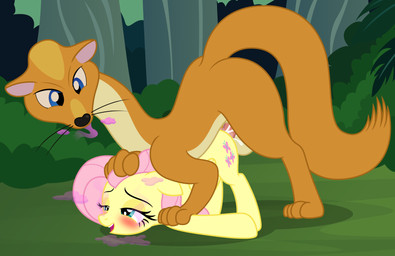 awake balls blue_eyes blush bodily_fluids cum duo female feral genital_fluids genitals hair interspecies long_tail male on_model penis pink_hair sedated sex sleep_sex sleeping style_crossover tail vaginal_fluids whiskers wings yellow_body badumsquish dragon_quest dragon_quest_v friendship_is_magic hasbro my_little_pony mythology square_enix fluttershy_(mlp) equid equine funky_ferret long-tailed_weasel mammal mustelid musteline mythological_creature mythological_equine pegasus true_musteline weasel absurd_res hi_res