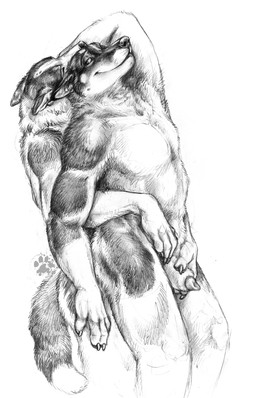 animal_genitalia anthro claws duo ears_back eyes_closed finger_claws fur genitals holding_sheath hug hugging_another hugging_from_behind male male/male nude nude_anthro nude_male penis penis_tip pivoted_ears romantic romantic_couple sheath simple_background standing tail white_background blotch scratches_volume_4 canid canine canis domestic_dog husky mammal nordic_sled_dog spitz 2010 hi_res monochrome traditional_media_(artwork)