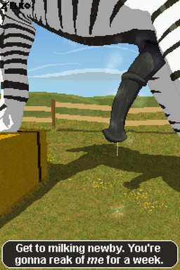 animal_genitalia animal_penis bodily_fluids dominant dominant_feral dominant_male dripping equine_genitalia equine_penis feral field flared_penis genital_fluids genitals leaking_precum male male_feral musk musk_cloud musky_penis penile penis precum precum_drip precum_string presenting presenting_penis quadruped solo speech_bubble striped_body stripes sweat sweatdrop sweaty_body sweaty_genitalia sweaty_penis text conditional_dnp zelkothezeeb zelko equid equine felkin hybrid mammal zebra hi_res