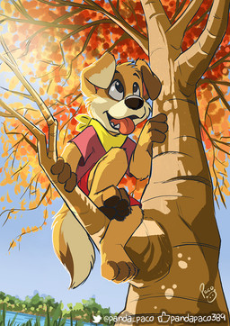 anthro barefoot black_nose blue_sky bottomwear brown_body brown_fur clothed clothing feet floppy_ears fur glistening glistening_eyes in_tree logo looking_up male male_anthro open_mouth open_smile plant red_bottomwear red_clothing red_shirt red_shorts red_t-shirt red_tongue red_topwear shirt shorts sky smile solo t-shirt tan_body tan_fur tongue tongue_out topwear tree pandapaco canid canine canis domestic_dog mammal artist_logo signature
