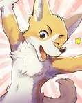 anthro black_eyes fangs fur happy looking_at_viewer male nude_male one_eye_closed open_mouth orange_body orange_fur raised_arms solo spread_arms tail teeth white_body white_fur young young_anthro young_male gabobon05 kogi_(gabobon) canid canine canis domestic_dog herding_dog mammal pastoral_dog welsh_corgi 2020 absurd_res hi_res