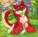 anthro ball begging bodily_fluids breasts double_helix drooling female fence good_girl grass heart_symbol kneeling nipples paws plant saliva solo solo_focus tail tennis_ball yard cassarts taro canid canine canis mammal wolf absurd_res hi_res