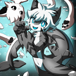 4_fingers anthro arm_markings big_tail black_inner_ear black_markings black_pawpads black_sclera blue_eyes blue_tongue bubble chest_tuft claws duo ear_tuft eye_through_hair eyebrow_through_hair eyebrows facial_tuft finger_claws fingers fur grey_body hair leg_markings male markings navel pawpads pointy_ears shark_tail smile smiling_at_viewer tail tail_markings teeth tentacles tongue translucent translucent_hair tuft underwater upside_down water white_body white_fur white_hair young young_anthro young_male gaogomon changed_(video_game) squid_dog_(changed) tiger_shark_(changed) aquatic canid canine cephalopod coleoid decapodiform fish hybrid mammal mollusk requiem_shark shark squid tiger_shark 1:1 2022 absurd_res hi_res