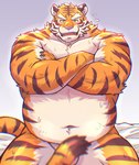 anthro balls barely_visible_balls barely_visible_genitalia belly blush bodily_fluids crossed_arms genitals kemono male musclegut muscular navel nude overweight overweight_male pink_nose solo sweat toraya_inugami felid mammal pantherine tiger 2025 chromatic_aberration hi_res