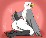 3_toes anthro arched_back avian_feet beak bedroom_eyes biped black_body black_eyes black_feathers black_tail blush breasts butt eyelashes feathered_wings feathers featureless_breasts feet female genitals grey_body grey_feathers grey_wings half-closed_eyes hand_on_hip heart_symbol kneeling looking_back membrane_(anatomy) multicolored_body multicolored_feathers narrowed_eyes non-mammal_breasts nude open_beak open_mouth open_smile pink_background pink_pussy pink_tongue presenting presenting_hindquarters pussy rear_view seductive side_boob simple_background small_waist smile solo tail tail_feathers toes tongue two_tone_body two_tone_feathers webbed_feet white_body white_feathers winged_arms wings yellow_beak rileyomalley avian bird black-legged_kittiwake gull kittiwake lari larid 2015 6:5 digital_drawing_(artwork) digital_media_(artwork) full-length_portrait portrait