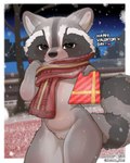 anthro biped black_body black_eyes black_fur black_nose black_tail blush blush_lines border claws detailed_background dialogue eyelashes featureless_chest female female_anthro finger_claws fingers fur genitals gift grey_body grey_fur grey_markings grey_stripes grey_tail heart_pupils heart_symbol holding_gift holding_object holidays humanoid_genitalia humanoid_pussy looking_at_viewer markings mostly_nude mostly_nude_anthro mostly_nude_female multicolored_body multicolored_fur multicolored_tail outside_border purple_scarf pussy ring_(marking) ringed_tail scarf scarf_only slightly_chubby slightly_chubby_anthro slightly_chubby_female snow snowing solo standing striped_markings striped_tail stripes tail tail_markings text white_body white_border white_fur white_sclera white_text rapel valentine's_day mammal procyonid raccoon 4:5 absurd_res english_text hi_res portrait three-quarter_portrait