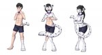 anthro biped black_hair black_stripes blush bottomwear breasts brown_eyes clothed clothing collar digitigrade featureless_breasts female female_anthro front_view fur fur_growth gender_transformation growth hair holding_tail looking_at_viewer looking_down_at_self male male_human markings mtf_transformation multicolored_body navel open_mouth partially_clothed plantigrade simple_background smile snout snout_growth solo species_transformation standing stripes surprise tail tail_growth tail_growth_in_pants three-quarter_view topless transformation transformation_sequence underwear underwear_down underwear_only white_background white_body white_fur tomek1000 john_(swack16) felid human mammal pantherine tiger 2018 colored