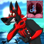 anthro asphyxiation black_body black_fur blue_body blue_eyes blue_fur bodily_fluids choking choking_hazard claws clenched_teeth drooling duo fur imminent_vore male male/male pink_mouth pink_tongue red_body red_fur saliva saliva_string scared scared_shitless teeth tongue uvula vore white_body white_fur yellow_eyes ajfurryadoptables deaton ember_shepard canid canine canis hybrid mammal wolf wolfdog hi_res