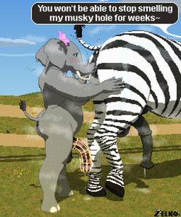 anal anal_fluids anal_juice_drip anal_penetration animal_genitalia animal_penis anthro anthro_on_feral anus balls bestiality blush bodily_fluids breasts chastity_cage chastity_device cum dominant dominant_feral dominant_male dripping duo equine_anus equine_genitalia equine_penis feral field flared_penis flies_for_smell flower_accessory genital_fluids genitals gynomorph gynomorph_on_feral intersex intersex/male intersex_on_feral jewelry male male_feral musk musky_penis oral penetration penile penis penis_size_difference precum precum_drip presenting presenting_anus proboscis_(anatomy) puffy_anus quadruped raised_tail sex snout_fuck speech_bubble striped_body stripes submissive submissive_anthro sweat sweatdrop sweaty_anus sweaty_balls sweaty_body sweaty_genitalia sweaty_penis tail tail_fluff text trunk_(anatomy) trunk_in_ass trunk_play trunk_sex conditional_dnp zelkothezeeb zelko elephant elephantid equid equine hybrid mammal proboscidean zebra 5:6 digital_media_(artwork) hi_res pixel_(artwork)