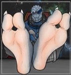 2_toes barefoot biped claws clothed clothing crossed_legs feet foot_focus grey_body legs_together looking_at_viewer male not_furry soles solo toes sebafox bioware electronic_arts mass_effect garrus_vakarian alien humanoid turian hi_res