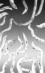 ambiguous_fluids disembodied_tentacle disembodied_tentacles nubbed_tentacles simple_background spotted_tentacles tapering_tentacles tentacles tentacles_everywhere zero_pictured sergld 5:8 greyscale hi_res monochrome