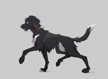 ambiguous_gender black_body black_fur black_nose blue_eyes collar feral floppy_ears fur open_mouth open_smile red_collar side_view simple_background smile snout solo walking white_body white_fur azzai canid canine canis domestic_dog mammal 2022 colored colored_sketch digital_drawing_(artwork) digital_media_(artwork) shaded sketch