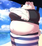 anthro beach belly blue_eyes blush clothed clothing kemono male navel open_clothing open_shirt open_topwear outside overweight overweight_anthro overweight_male seaside shirt solo swimwear topwear undressing 12beat13 utau shirane_kan bear mammal polar_bear ursine 2020