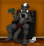 book boxer_briefs chair clock clothing furniture hair horn looking_at_viewer male solo underwear watch white_hair wristwatch nethil lennox_raides chimera_(nethil) felid feline mammal