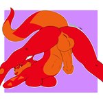 anthro anus ass_up balls belly big_balls big_breasts big_penis breasts butt erection fur genitals herm humanoid_genitalia humanoid_pussy intersex jack-o'_pose long_tail multicolored_body multicolored_fur orange_balls orange_belly orange_body orange_fur orange_pawpads orange_penis pawpads penis pose pouch_(anatomy) presenting presenting_anus presenting_balls presenting_hindquarters presenting_penis presenting_pussy pussy red_body red_fur red_nose red_pussy simple_background smile smiling_at_viewer smirk solo spread_legs spreading tail neon_lion charlie_lavine_(neon_lion) kangaroo macropod mammal marsupial 1:1 hi_res