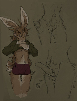 anthro clothing eunuch genital_scar genitals male orchiectomy_scar penis scar solo unknown_artist lagomorph leporid mammal rabbit hi_res