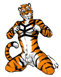 animal_genitalia anthro athletic athletic_anthro athletic_male balls black_claws black_harness black_stripes blue_eyes claws eyewear facial_markings front_view fur genitals glasses harness head_markings head_tuft kneeling looking_at_viewer male male_anthro markings navel nude penis penis_tip rectangular_glasses sheath simple_background solo striped_arms striped_body striped_face striped_fur striped_legs striped_markings striped_tail stripes tail tail_markings toe_claws tuft white_background white_balls white_sheath hufnaar felid mammal pantherine tiger hi_res