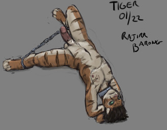 anthro balls bdsm black_text bondage bound erection feet fur genitals green_eyes grey_background hair looking_at_viewer male nipples nude nude_male orange_body orange_fur penis simple_background slave solo striped_body striped_fur stripes text jeri_kleinlowe felid mammal pantherine tiger 2022