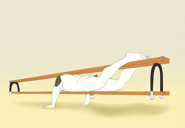 anthro board cock_and_ball_torture exercise genital_torture male muscular muscular_anthro muscular_male nude push-up simple_background solo 9x9 bull_terrier canid canine canis domestic_dog hunting_dog mammal terrier