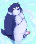 anthro balls belly blue_body blue_fur blush countershading erection frown fur genitals high-angle_view horn humanoid_genitalia humanoid_penis kemono male moobs multicolored_body multicolored_fur narrowed_eyes nipples nude overweight overweight_male partially_submerged penis solo standing standing_in_water two_tone_body two_tone_fur white_body white_countershading white_fur snow_utamaru canid canine canis domestic_dog mammal 2023 hi_res