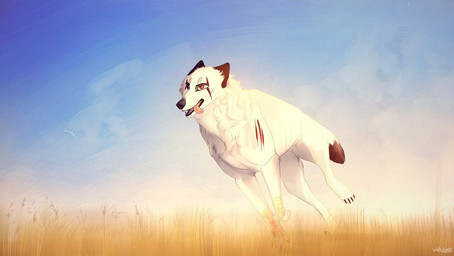 ambiguous_gender black_nose black_tail blue_sky dipstick_tail fangs feral glistening glistening_eyes grass markings open_mouth outside plant red_eyes running sky solo tail tail_markings teeth tongue tongue_out white_tail unknowhiter canid canine canis mammal wolf 2015 full-length_portrait portrait signature