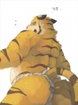 anthro asian_clothing blush butt clothing east_asian_clothing embarrassed fundoshi japanese_clothing male simple_background solo underwear white_background lowerkuo felid mammal pantherine tiger 3:4