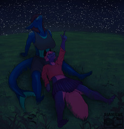 ambiguous_gender anthro big_breasts black_hair blue_body bottomwear bra breasts clothing duo female female/ambiguous gesture grass hair hand_gesture head_on_lap looking_up lying markings navel night non-mammal_breasts on_lap pink_hair plant pleated_skirt pointing pointing_up purple_body resting romantic romantic_couple shirt shorts skirt sky smile sports_bra star stargazing tail topwear underwear yellow_markings siamesegeese reverie_(revdafox) sapphire_(lafix63) aquatic canid canine fish fox mammal red_fox requiem_shark shark silver_fox tiger_shark true_fox hi_res trans_(lore) trans_woman_(lore)
