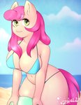 anthro ball bangs beach big_breasts bikini biped blurred_background breasts cleavage clothed clothing cloud female green_eyes hair long_hair looking_at_viewer pink_hair pink_tail sand sea seaside sky smile smiling_at_viewer solo string_bikini swimwear tail text three-quarter_view two-piece_swimsuit water kei_kun hasbro my_little_pony equid equine horse mammal pony digital_drawing_(artwork) digital_media_(artwork) english_text hi_res portrait shaded soft_shading three-quarter_portrait