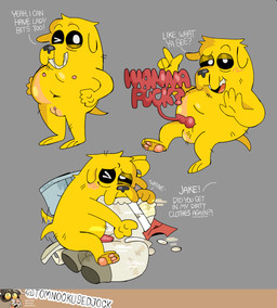 anthro balls bite dirty_underwear fur genitals grinding intersex male masturbation orange_body orange_fur penis pillow pillow_bite pillow_humping solo text unusual_anatomy unusual_genitalia vulva tomnookusedjock adventure_time cartoon_network jake_the_dog canid canine canis domestic_dog mammal absurd_res english_text hi_res