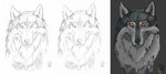 ambiguous_gender eye_scar facial_scar fur grey_background grey_body grey_fur looking_at_viewer scar simple_background solo white_background white_body white_fur wolfdawg montana_(wolfdawg) canid canine canis mammal wolf headshot_portrait portrait sketch