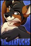 anthro black_body black_fur black_nose brown_body brown_fur claws fur green_eyes male smile solo tan_body tan_fur rarakie timberfuchs canid canine canis mammal wolf 2014 character_badge_(artwork)