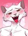 ahegao anthro aroused bodily_fluids female glistening looking_pleasured open_mouth saliva solo tongue tongue_out shunya domestic_cat felid feline felis mammal hi_res portrait