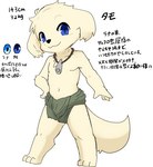 3_toes 4_fingers anthro barefoot blue_eyes clothed clothing feet fingers happy jewelry looking_at_viewer male navel necklace solo tail text thong toes topless topless_male underwear young young_anthro young_male onwanwa tamo_(onwanwa) canid canine canis domestic_dog mammal 2024 hi_res japanese_description japanese_text model_sheet translation_request