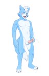 3_toes 5_fingers anthro balls belly black_nose blue_body blue_fur blush blush_lines bodily_fluids claws cum cumshot dipstick_tail ejaculation eyes_closed feet fingers fur furgonomics genital_fluids genitals hair humanoid_genitalia humanoid_penis left-handed male markings masturbation multicolored_body nude nude_anthro nude_male open_mouth orgasm orgasm_face penis simple_background solo standing tail tail_markings teeth toe_claws toes tongue white_background white_belly white_body white_fur white_tail_tip kokoro-tokoro nintendo star_fox marcus_mccloud canid canine canis fox mammal hi_res