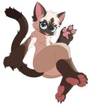 4_fingers anthro domestic_cat felid feline felis fingers hi_res kemono male mammal nude pawpads ping_koon siamese simple_background solo white_background