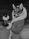 anthro candy clothing coat dessert evening fangs female food fur gloves handwear multicolored_body multicolored_fur night open_mouth parka sky smile snow solo standing star starry_sky teeth tongue topwear winter winter_coat tiny_bunny alice_the_vixen canid canine fox human hybrid mammal 2021 3:4 hi_res