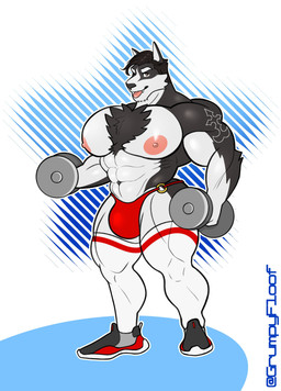 abs abstract_background anthro barazoku big_muscles big_nipples body_hair bulge chest_hair clothing dumbbell exercise footwear hair knee_highs knee_socks legwear looking_at_viewer male muscular muscular_anthro muscular_male nipples one_eye_closed pecs shoes smile socks solo standing tattoo text thong tongue tongue_out underwear weightlifting weights wink workout grumpyfloof canid canine canis mammal wolf 2021 absurd_res hi_res url