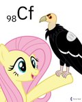 ambiguous_gender black_body black_feathers californium duo feathers female feral grey_eyes hair happy open_mouth perching pink_hair simple_background smile text tracking_tag white_background wings yellow_body parclytaxel friendship_is_magic hasbro my_little_pony mythology fluttershy_(mlp) accipitriform avian bird california_condor equid equine mammal mythological_creature mythological_equine new_world_vulture pegasus vulture 2020 4:5 absurd_res english_text hi_res signature