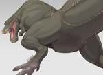 ambiguous_gender animal_genitalia claws cloaca feral genitals looking_at_viewer open_mouth simple_background solo spikes tail tailbutt kuatabami capcom monster_hunter brute_wyvern deviljho scalie